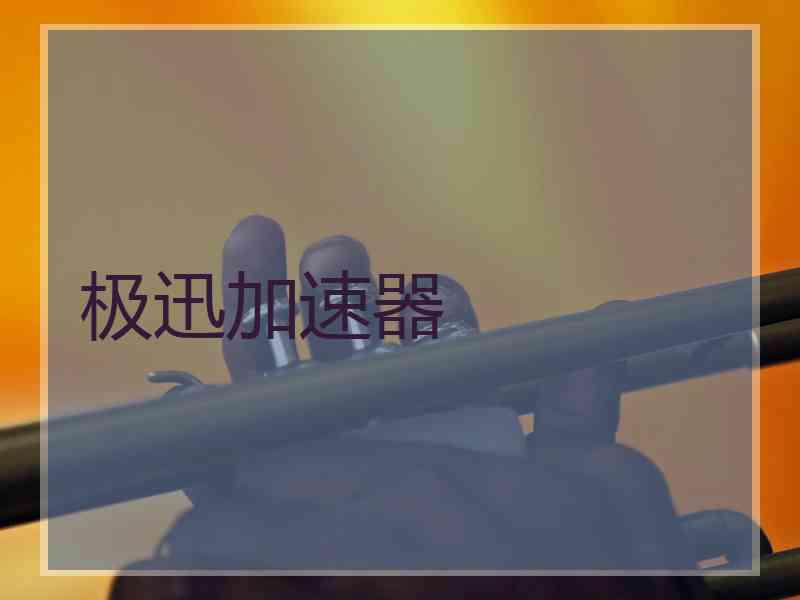 极迅加速器