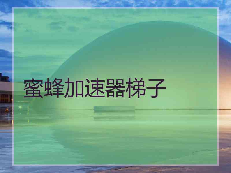 蜜蜂加速器梯子