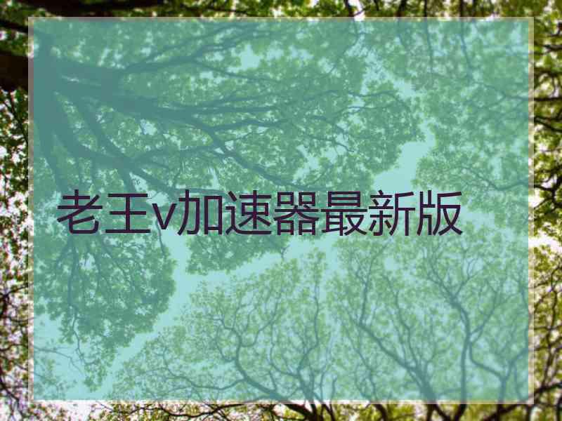老王v加速器最新版