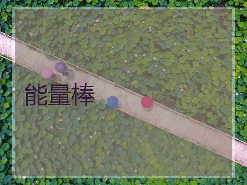 能量棒