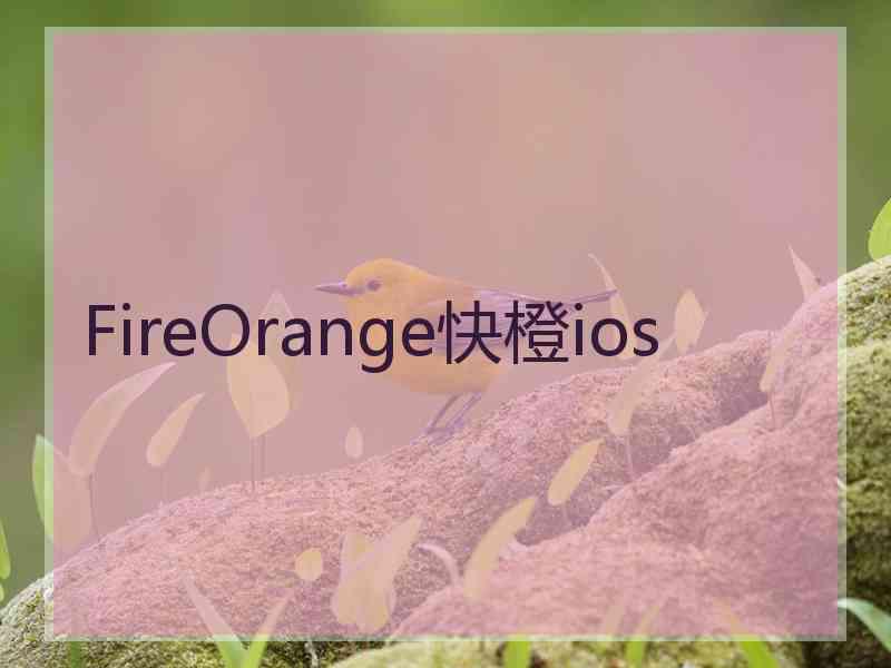 FireOrange快橙ios