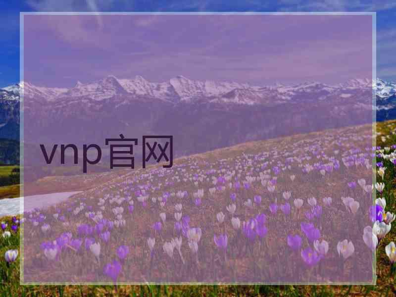 vnp官网