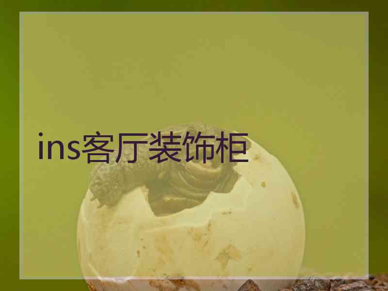 ins客厅装饰柜