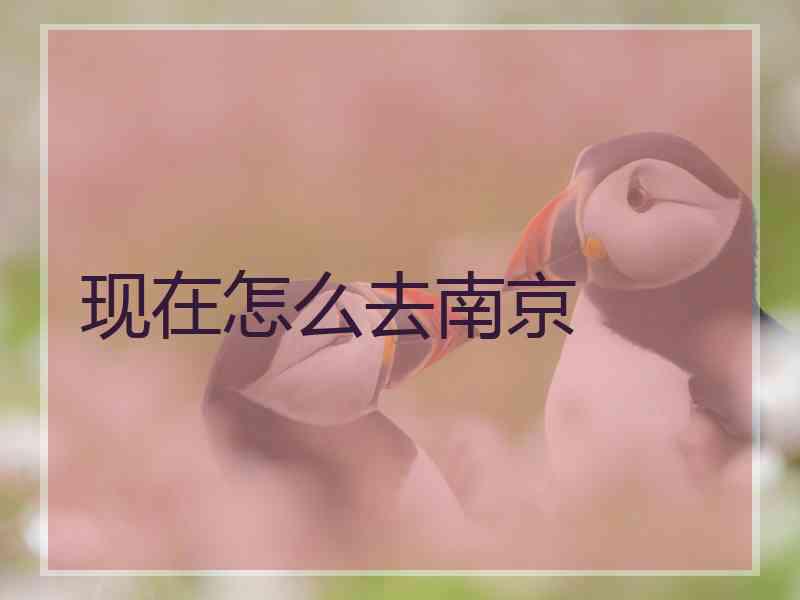 现在怎么去南京