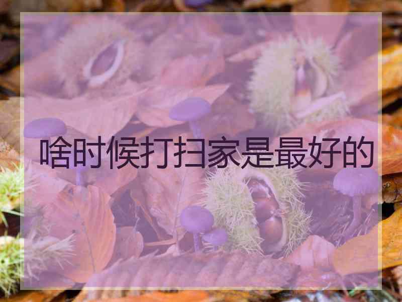 啥时候打扫家是最好的