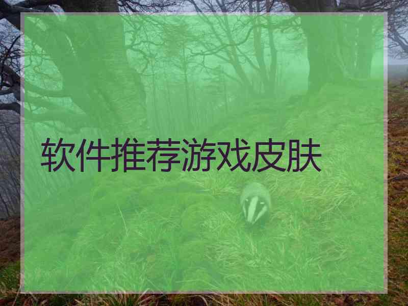 软件推荐游戏皮肤