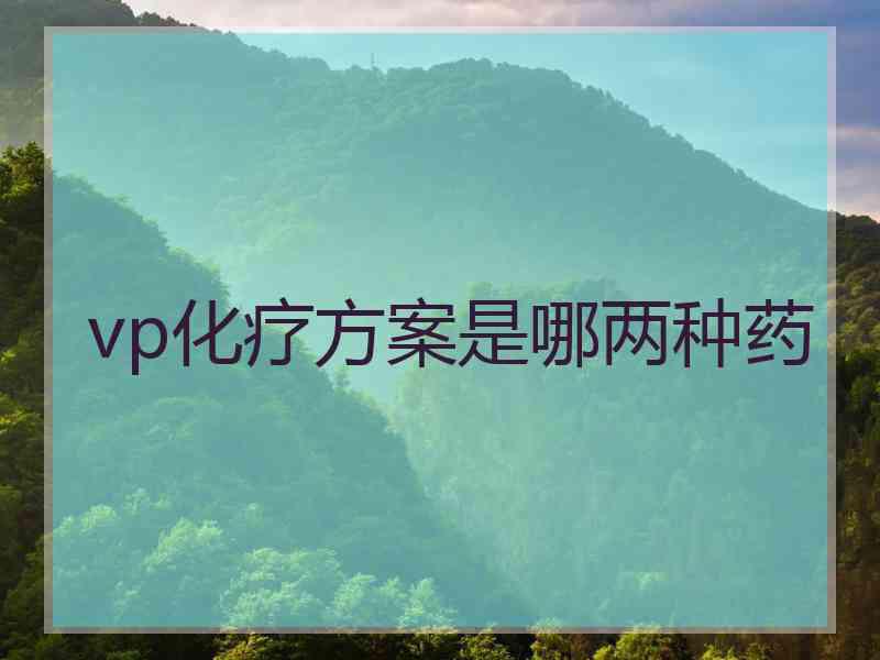 vp化疗方案是哪两种药