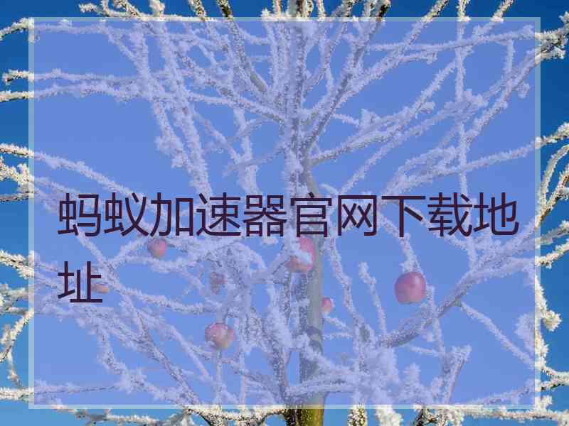 蚂蚁加速器官网下载地址