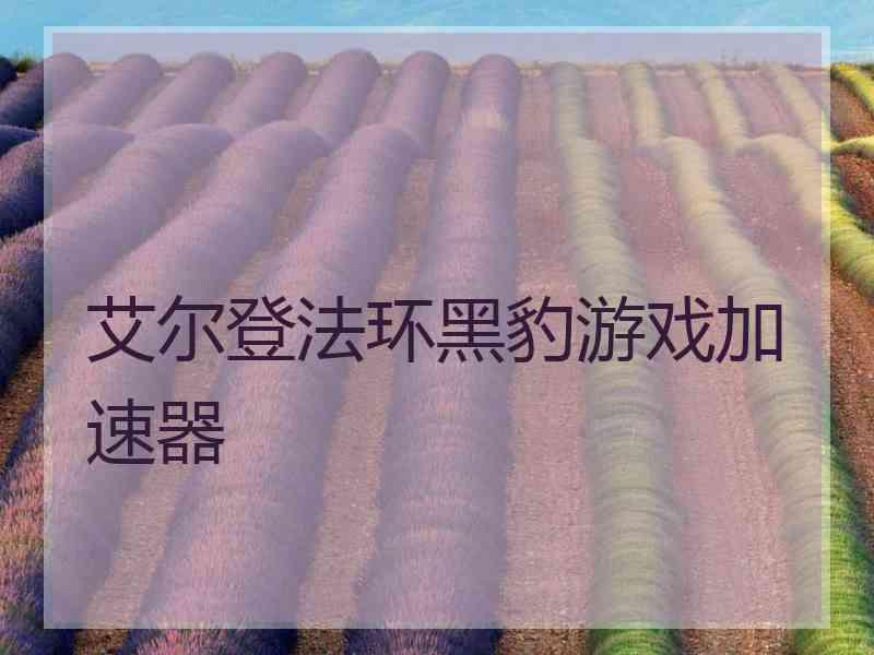 艾尔登法环黑豹游戏加速器
