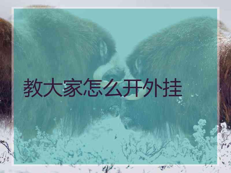 教大家怎么开外挂