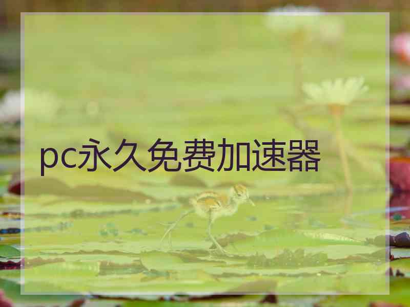 pc永久免费加速器