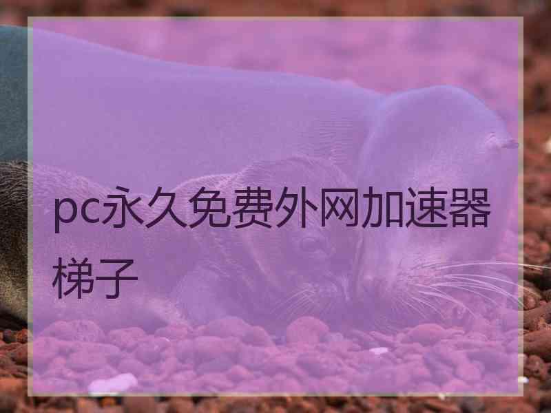 pc永久免费外网加速器梯子