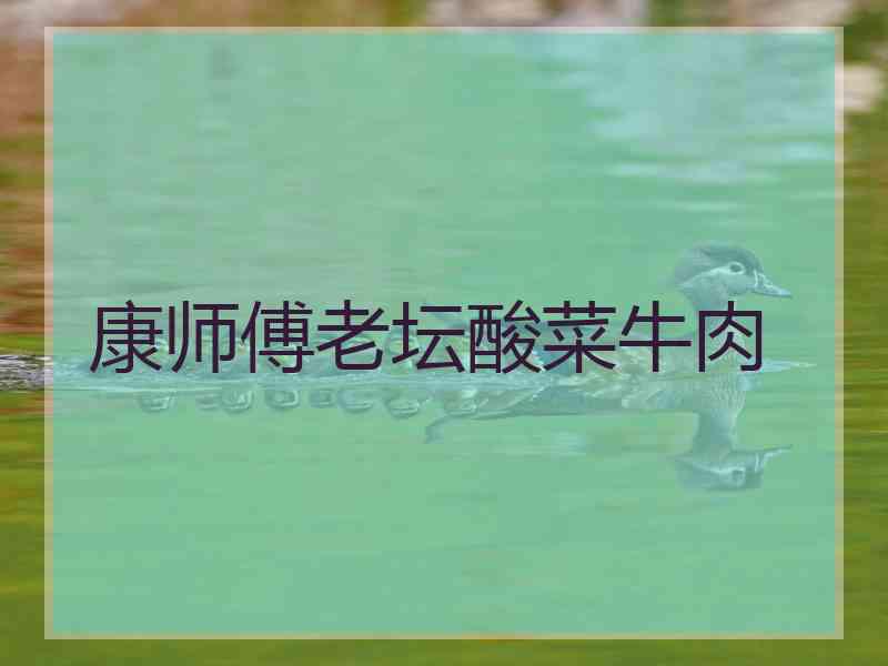 康师傅老坛酸菜牛肉