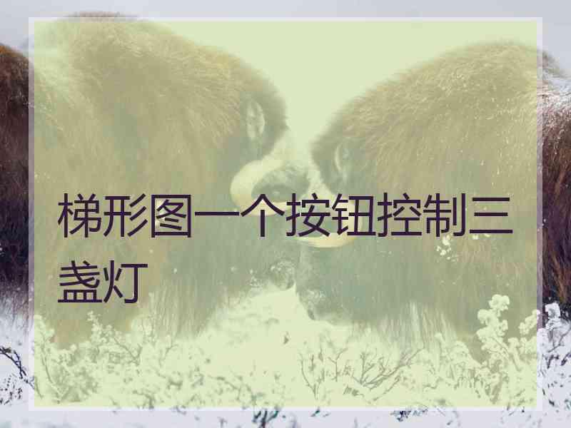 梯形图一个按钮控制三盏灯