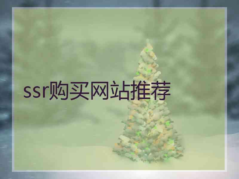 ssr购买网站推荐