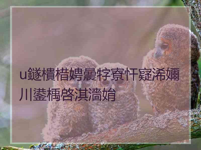 u鐩樻棤娉曟牸寮忓寲浠嬭川鍙楀啓淇濇姢