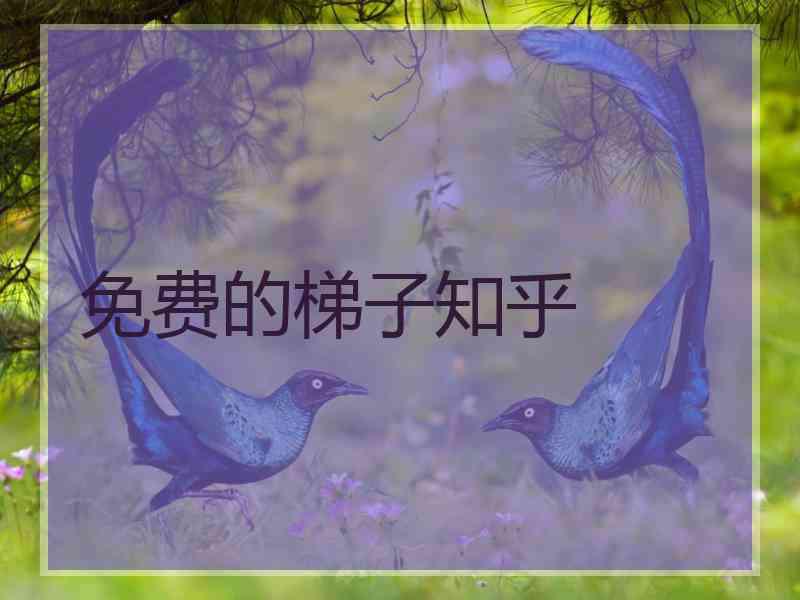 免费的梯子知乎