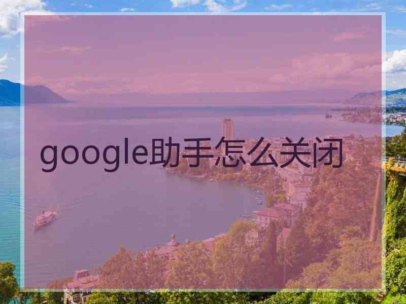 google助手怎么关闭