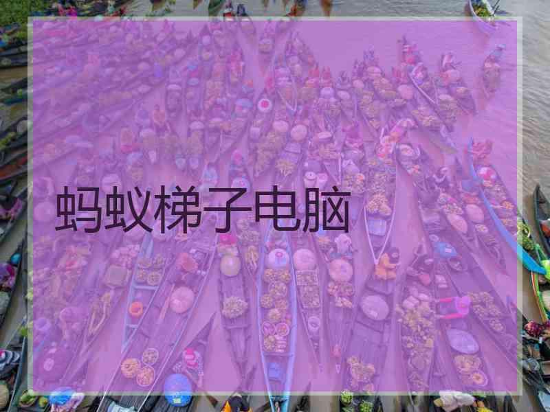蚂蚁梯子电脑