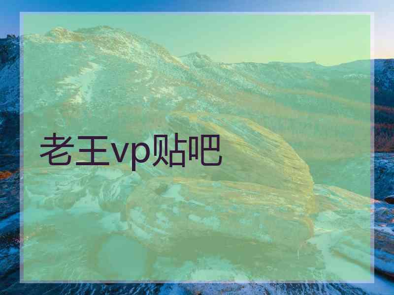 老王vp贴吧