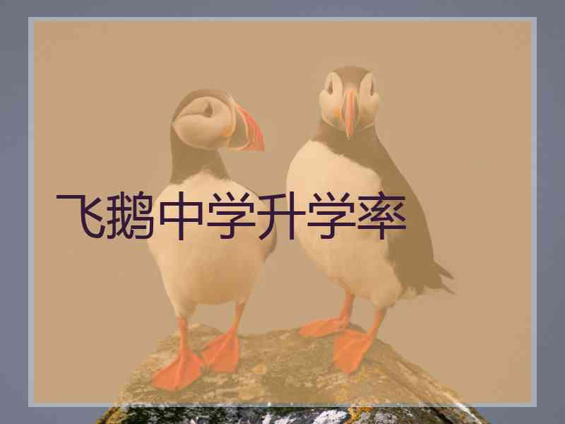 飞鹅中学升学率