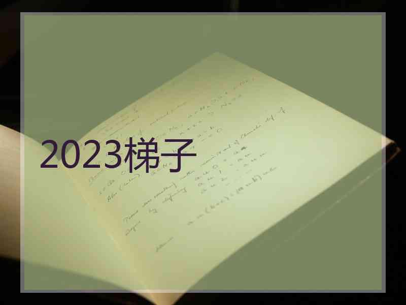 2023梯子