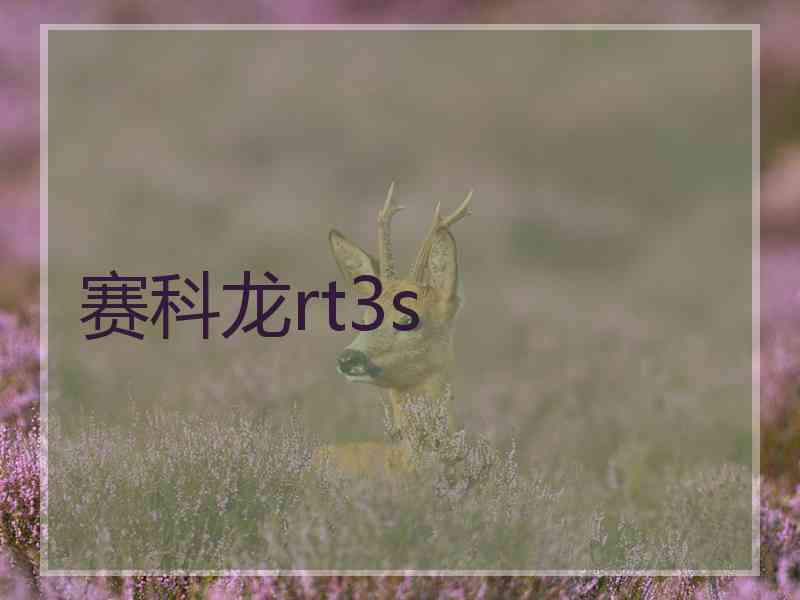 赛科龙rt3s