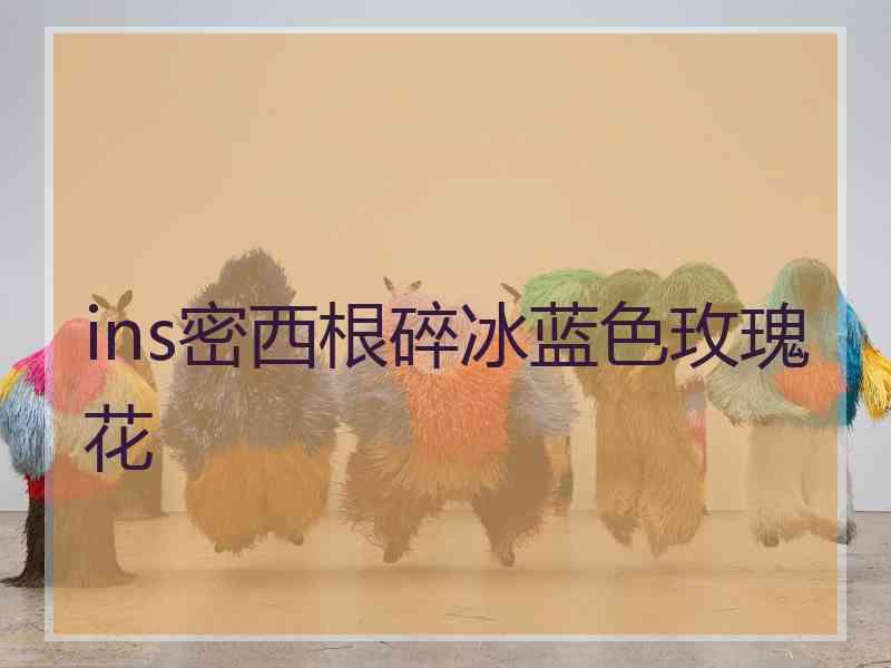 ins密西根碎冰蓝色玫瑰花
