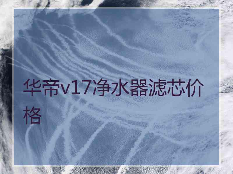 华帝v17净水器滤芯价格