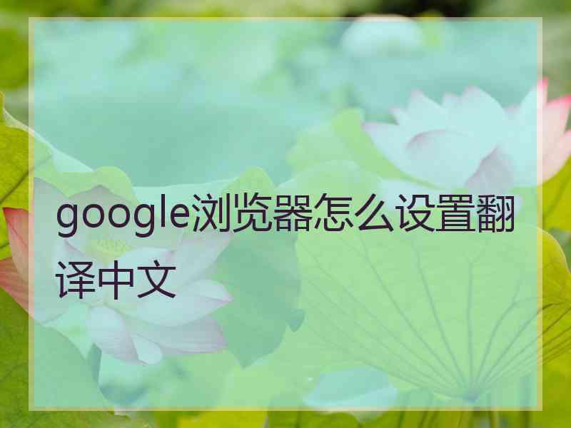 google浏览器怎么设置翻译中文