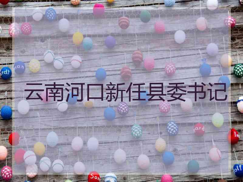 云南河口新任县委书记