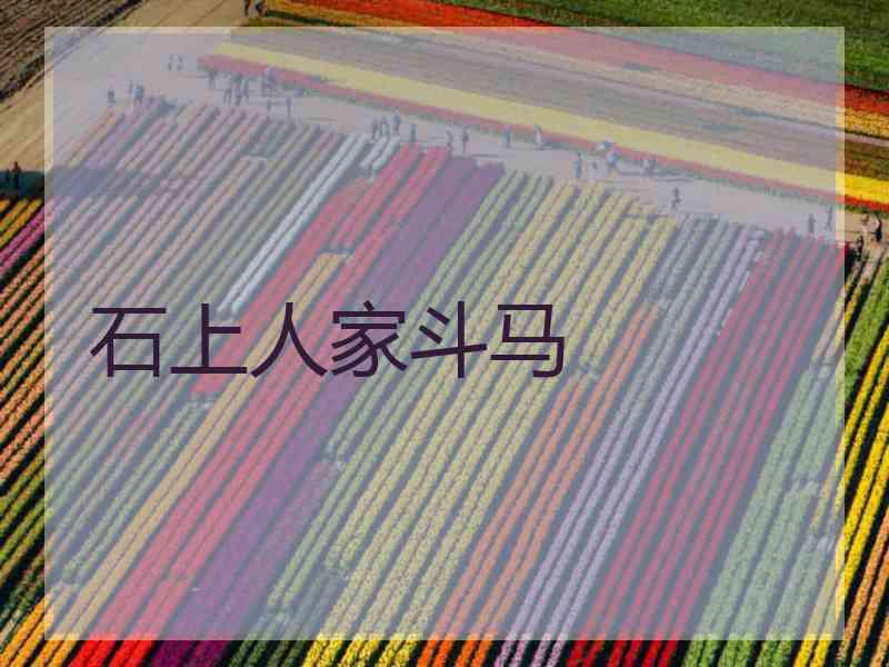石上人家斗马