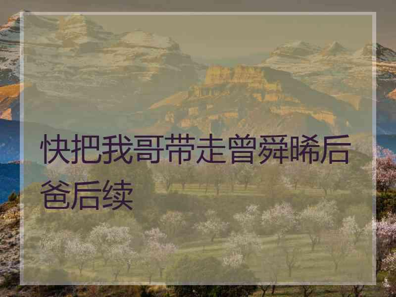 快把我哥带走曾舜晞后爸后续