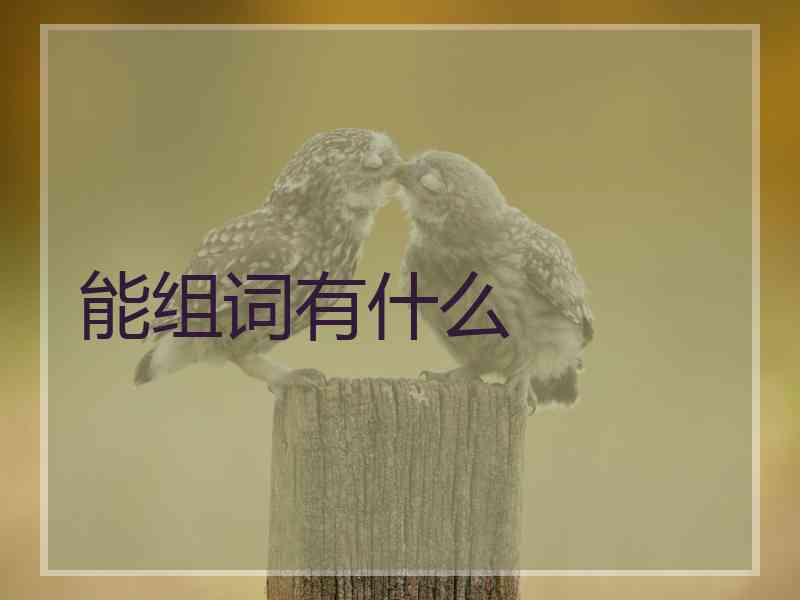 能组词有什么