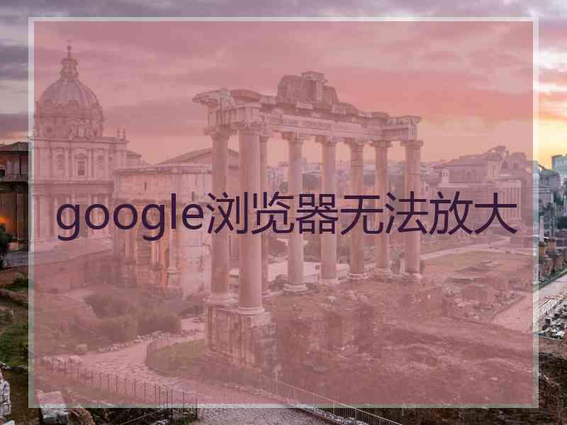 google浏览器无法放大