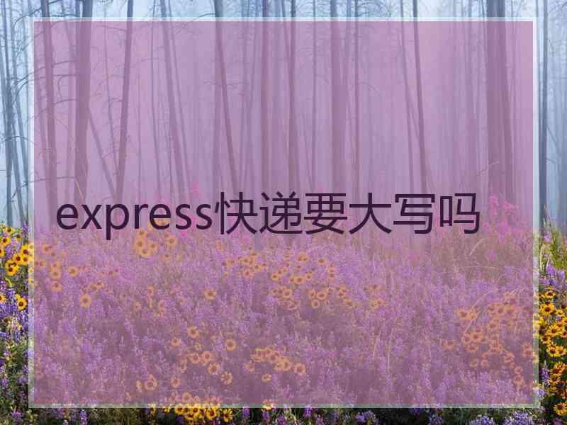 express快递要大写吗