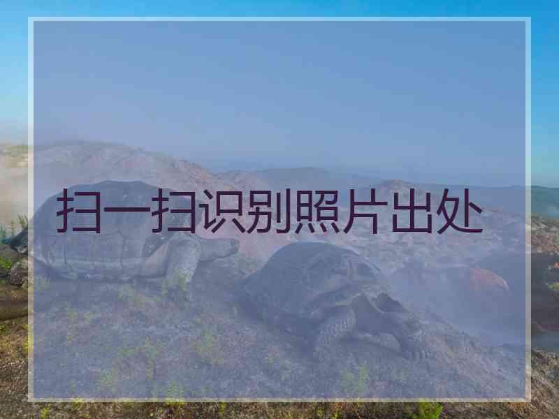 扫一扫识别照片出处