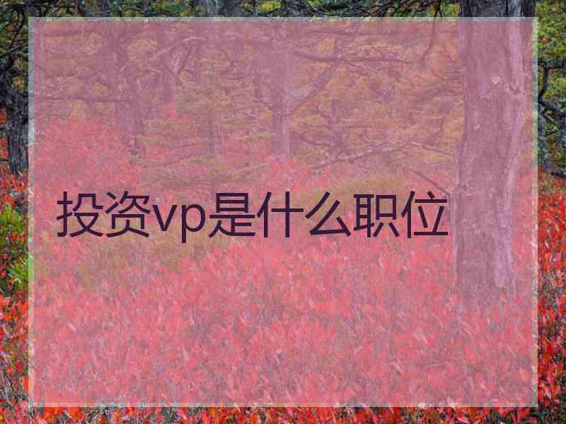 投资vp是什么职位