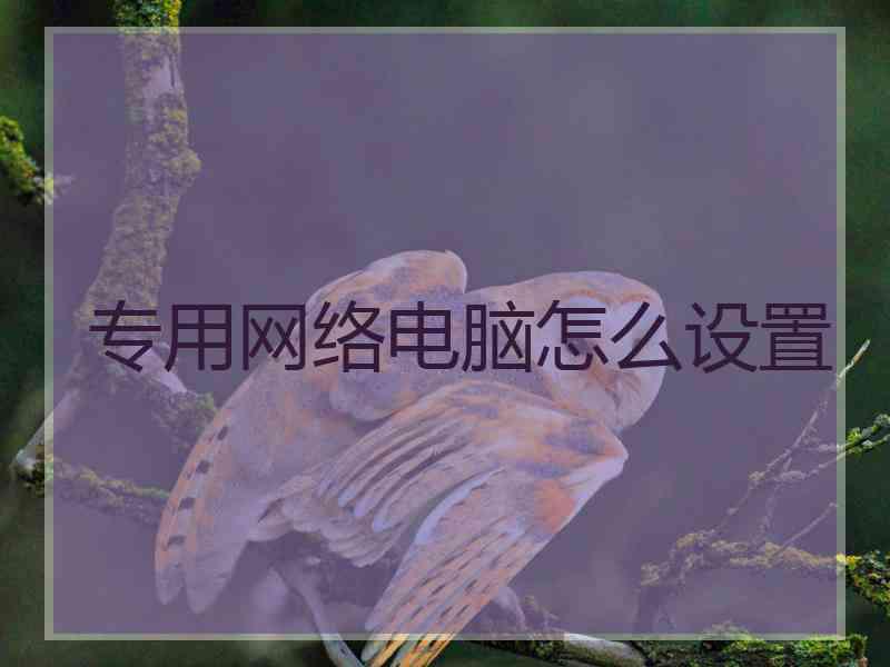 专用网络电脑怎么设置