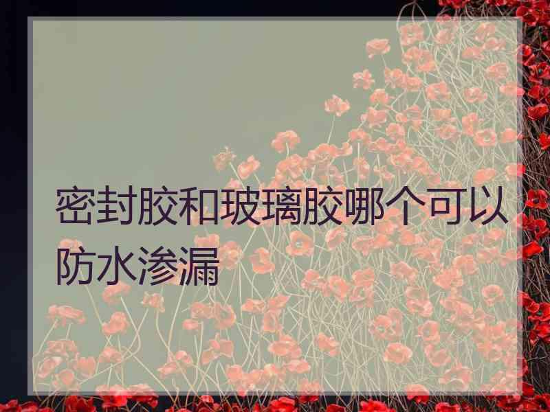 密封胶和玻璃胶哪个可以防水渗漏