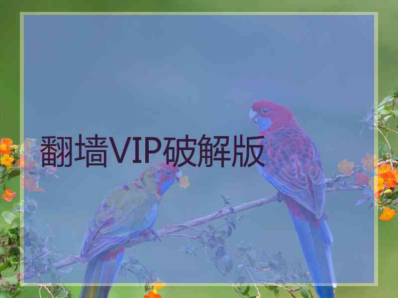 翻墙VIP破解版