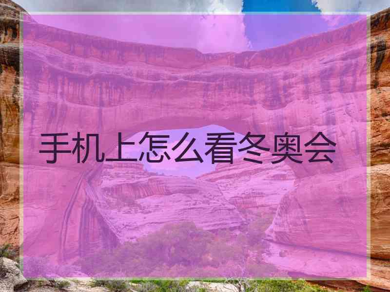 手机上怎么看冬奥会
