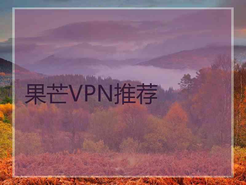 果芒VPN推荐