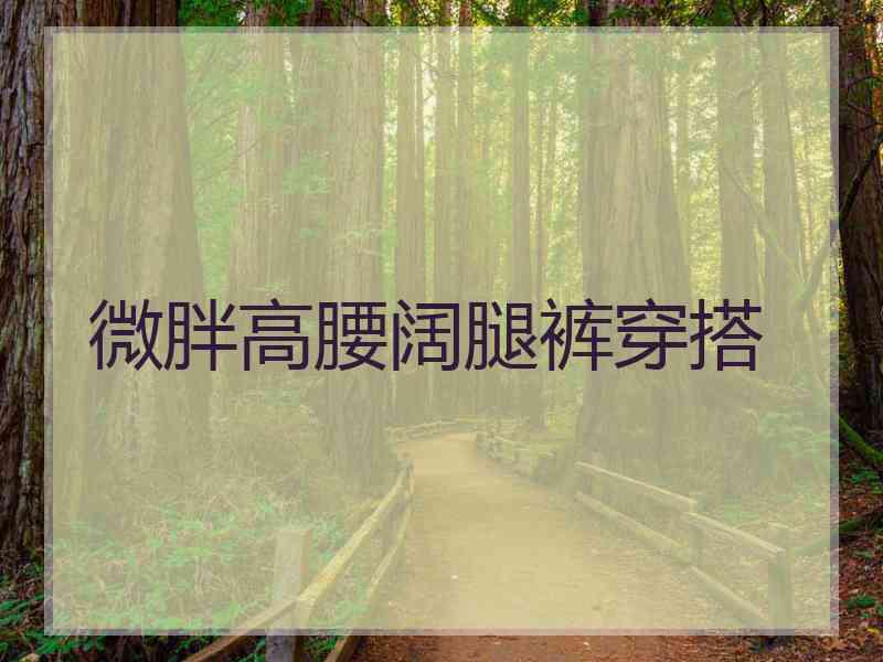 微胖高腰阔腿裤穿搭