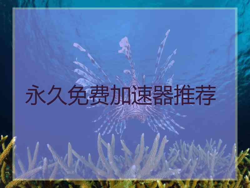 永久免费加速器推荐