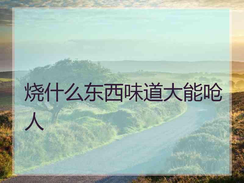 烧什么东西味道大能呛人