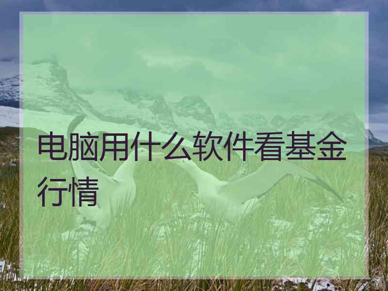 电脑用什么软件看基金行情
