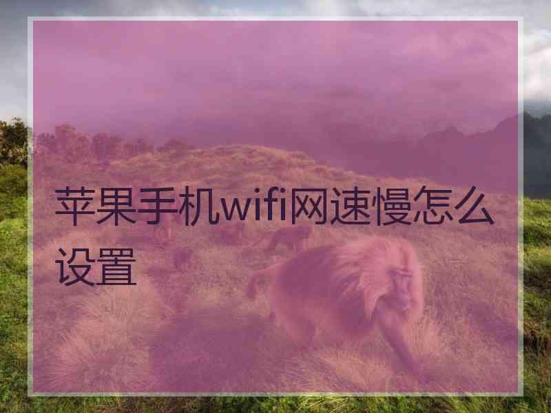 苹果手机wifi网速慢怎么设置