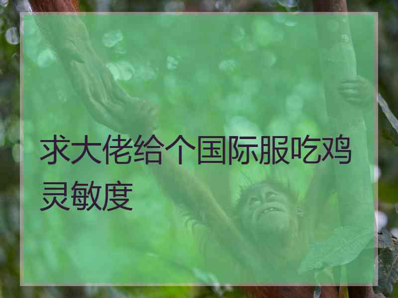 求大佬给个国际服吃鸡灵敏度