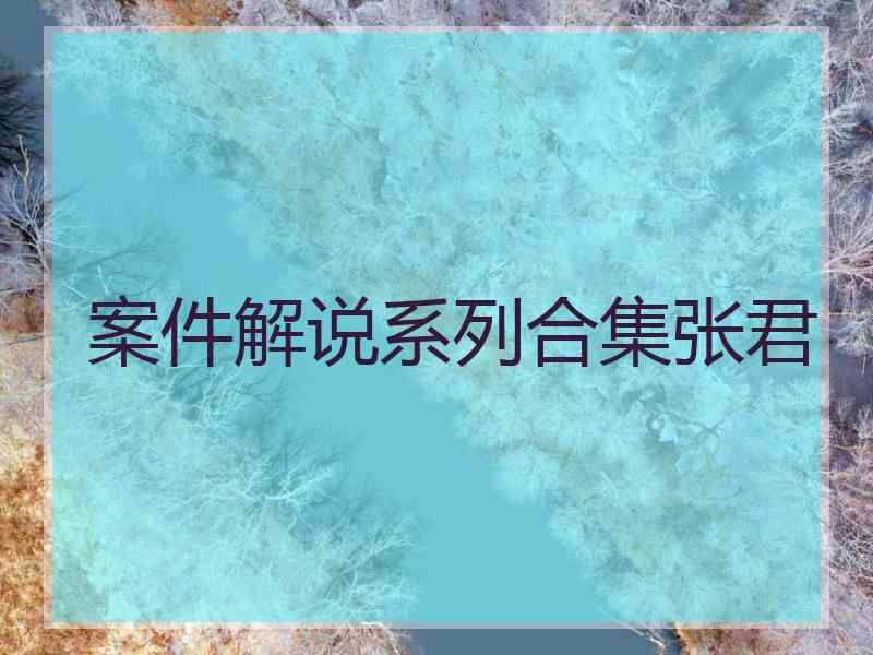 案件解说系列合集张君
